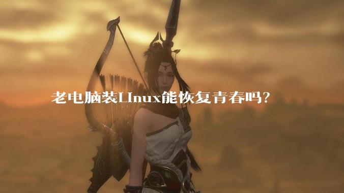 老电脑装Linux能恢复青春吗？