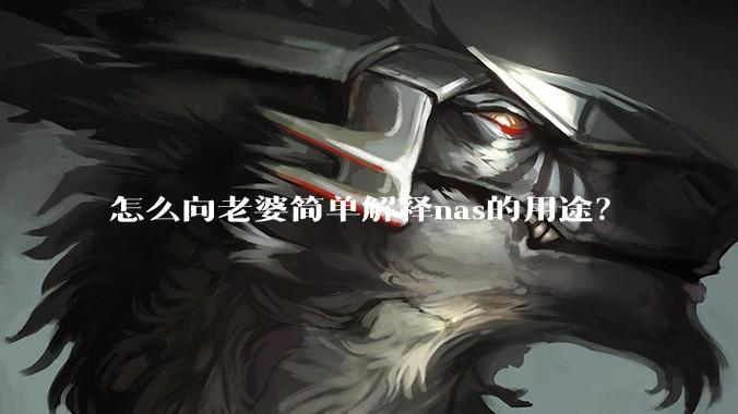 怎么向老婆简单解释nas的用途？