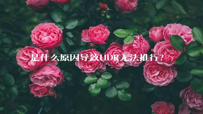 是什么原因导致HDR无法推行？