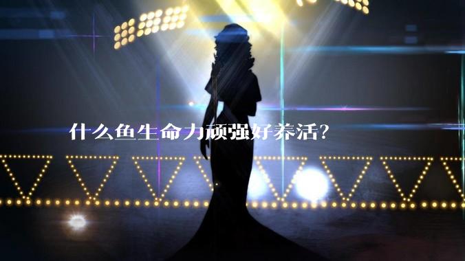 什么鱼生命力顽强好养活？