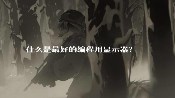 什么是最好的编程用显示器？