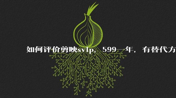 如何评价剪映svip，599一年，有替代方案吗？