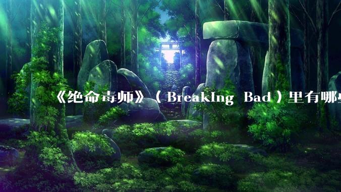 《绝命毒师》（Breaking Bad）里有哪些硬伤？