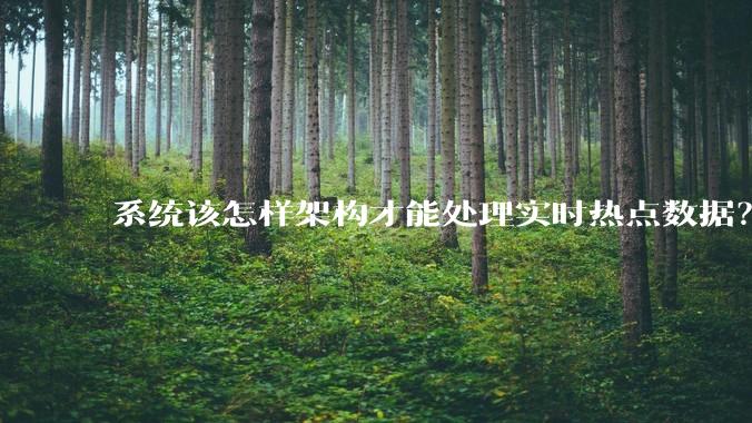 系统该怎样架构才能处理实时热点数据？