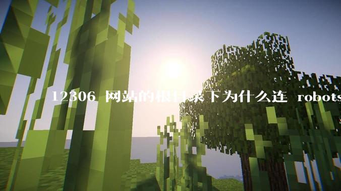 12306 网站的根目录下为什么连 robots.txt 文件（反爬虫协议）都没有？