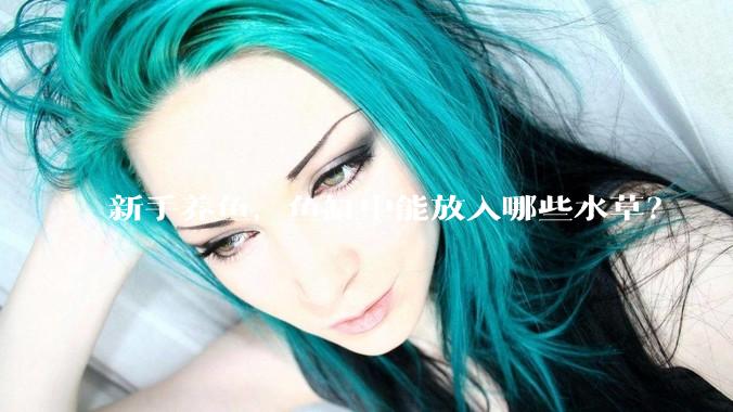 新手养鱼，鱼缸中能放入哪些水草？