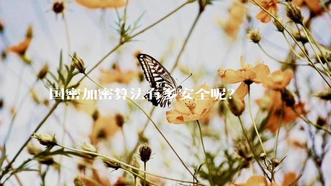 国密加密算法有多安全呢？